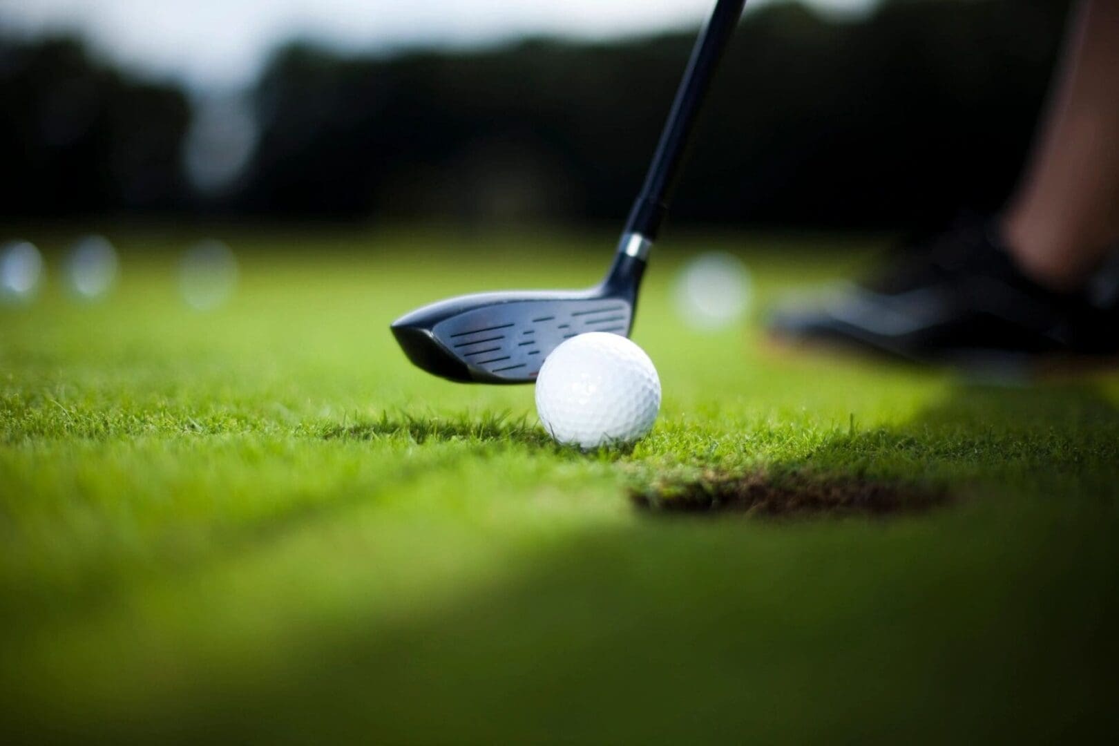 A golf ball and club on the green.