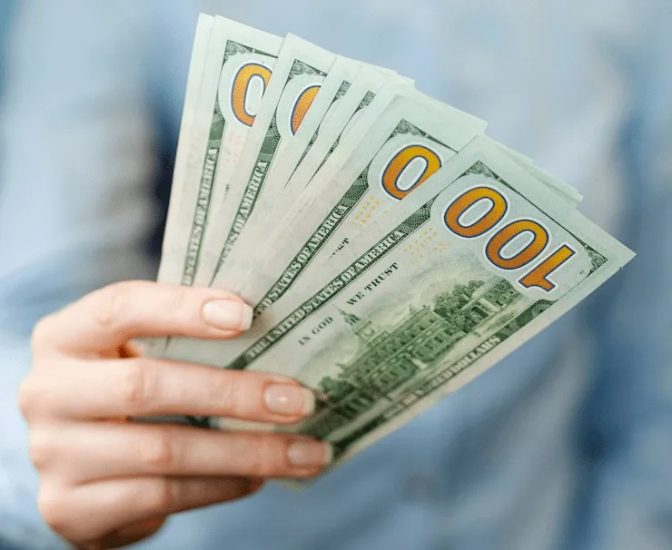 A person holding money in their hands.