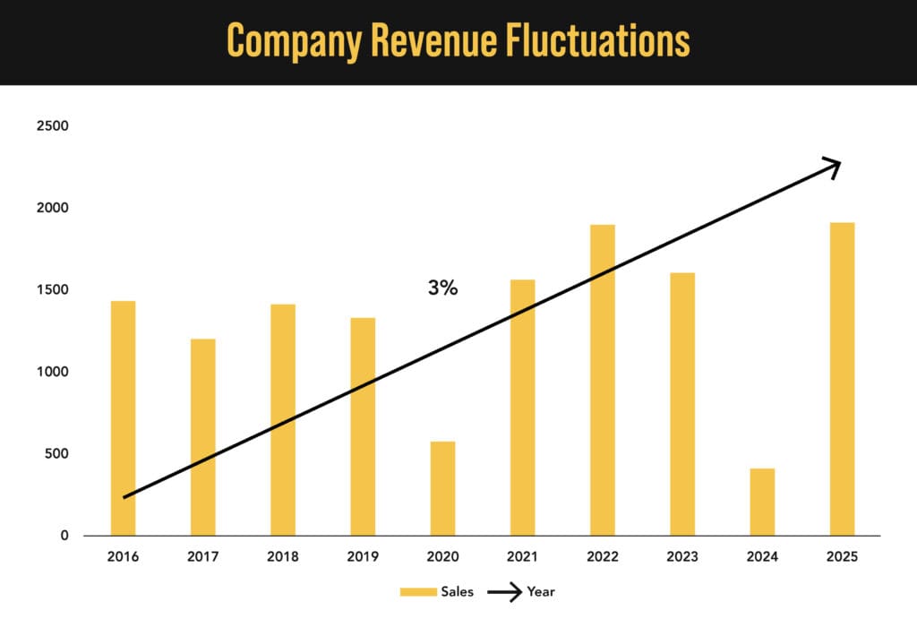 Visual representations of company revenue fluctuations.