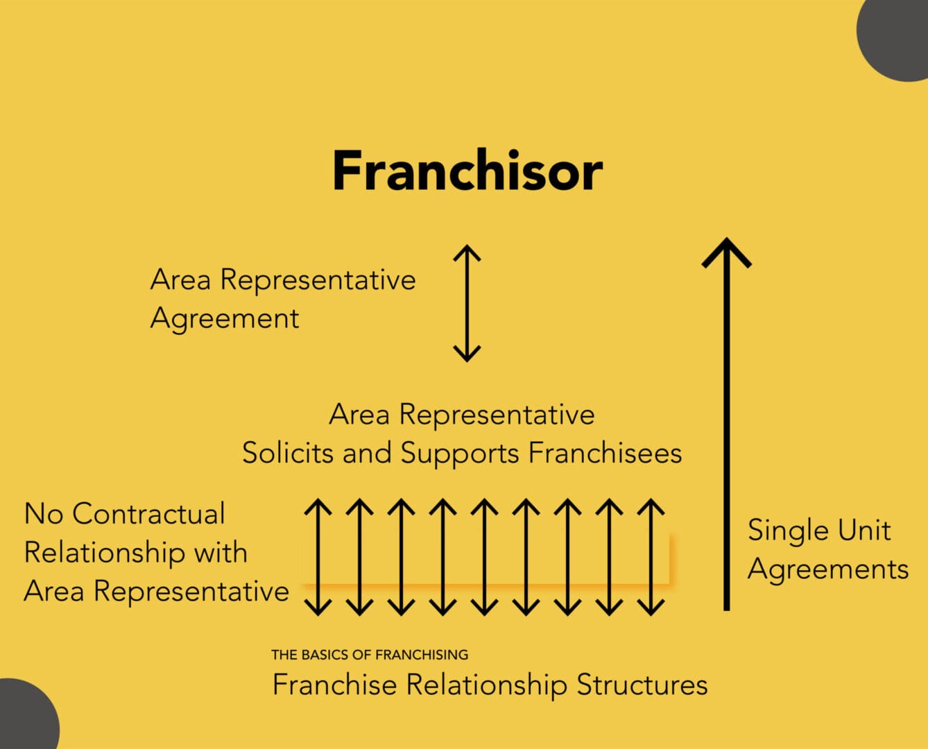 basics of franchising