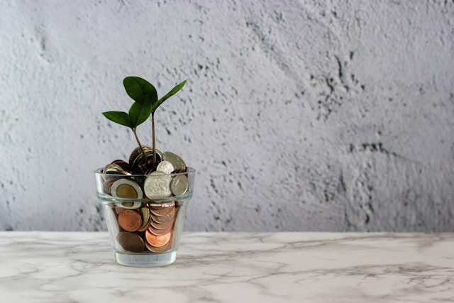 A photo showing a stack of coins with a plant growing on