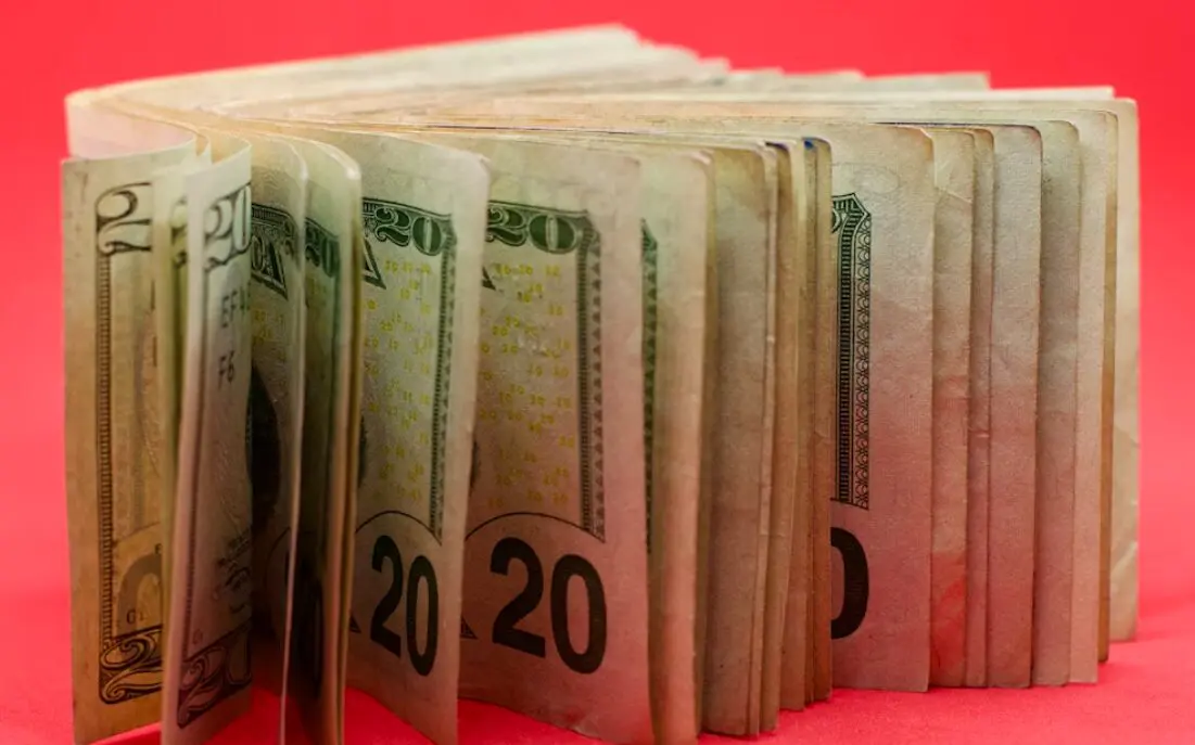  This picture shows 20 dollar banknotes.