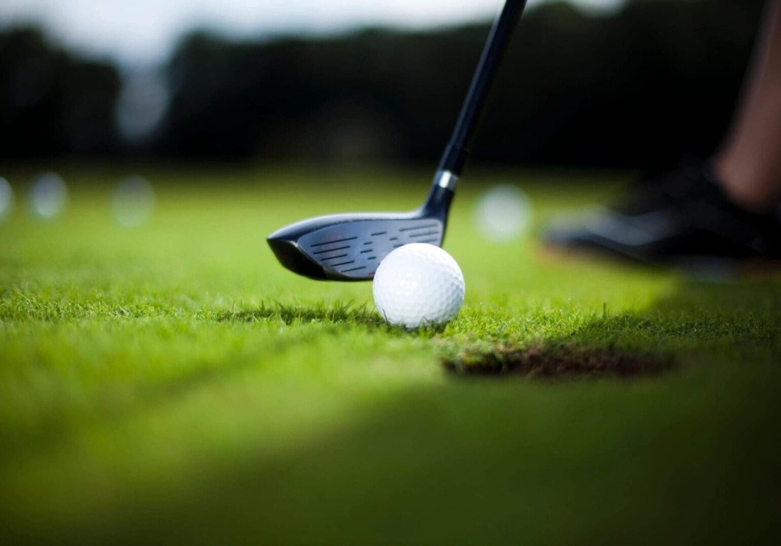A golf ball and club on the green.